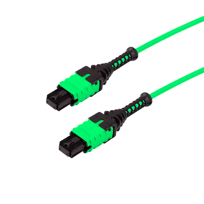 MTP/UPC Elite Pro Boot Cable, MM 50/125 Micorn 24 Fiber - P5P24E4F-E4F-XXXX-X - Image 2