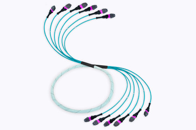 MTP Pro Elite Fiber Optic Trunk Cable, 72 Strand, Multimode OM4 50/125 (6 X 12 Fiber MTP)