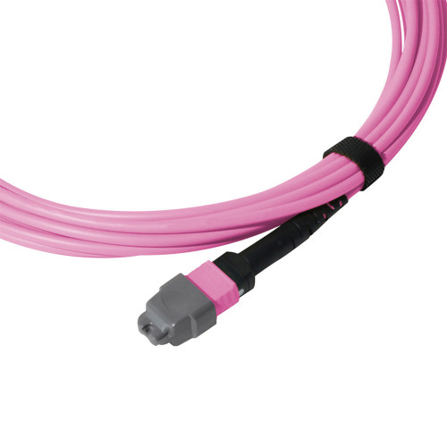 MTF-MTF-12-OM4-001FA - MTP® Elite Female to MTP® Elite Female, 8 Strand, Corning Multimode OM4 50/125 Micron, OFNP Violet Jacket, close up end