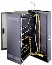 DWR Series Pivoting Wall Rack (No Door) - 35RU and 22 Inch Deep