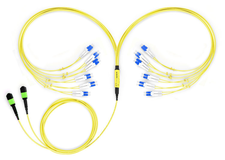 MTP-LC Singlemode OS2 Fiber Optic Cable - 24 Strand 9/125