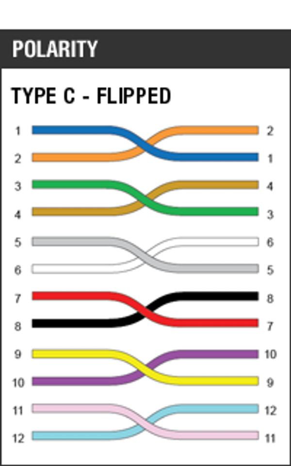 12 Strand Type C - Polarity Image (Flipped Pair)