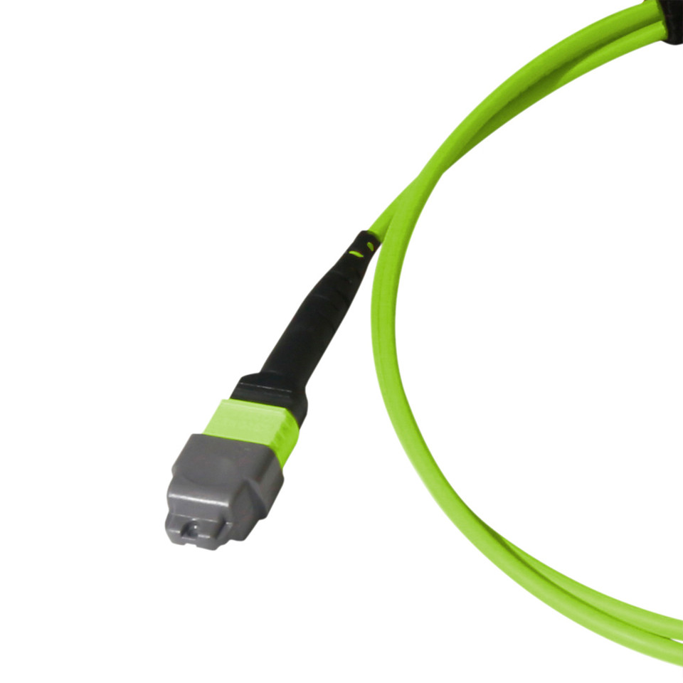 MTP® Elite/APC, OM5 Multimode