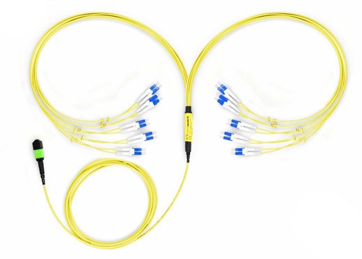 20-Fiber MPO to LC Fiber Optic Fanout Cable, Singlemode OS2, Plenum