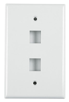 Standard Single Gang 2-Port Faceplate