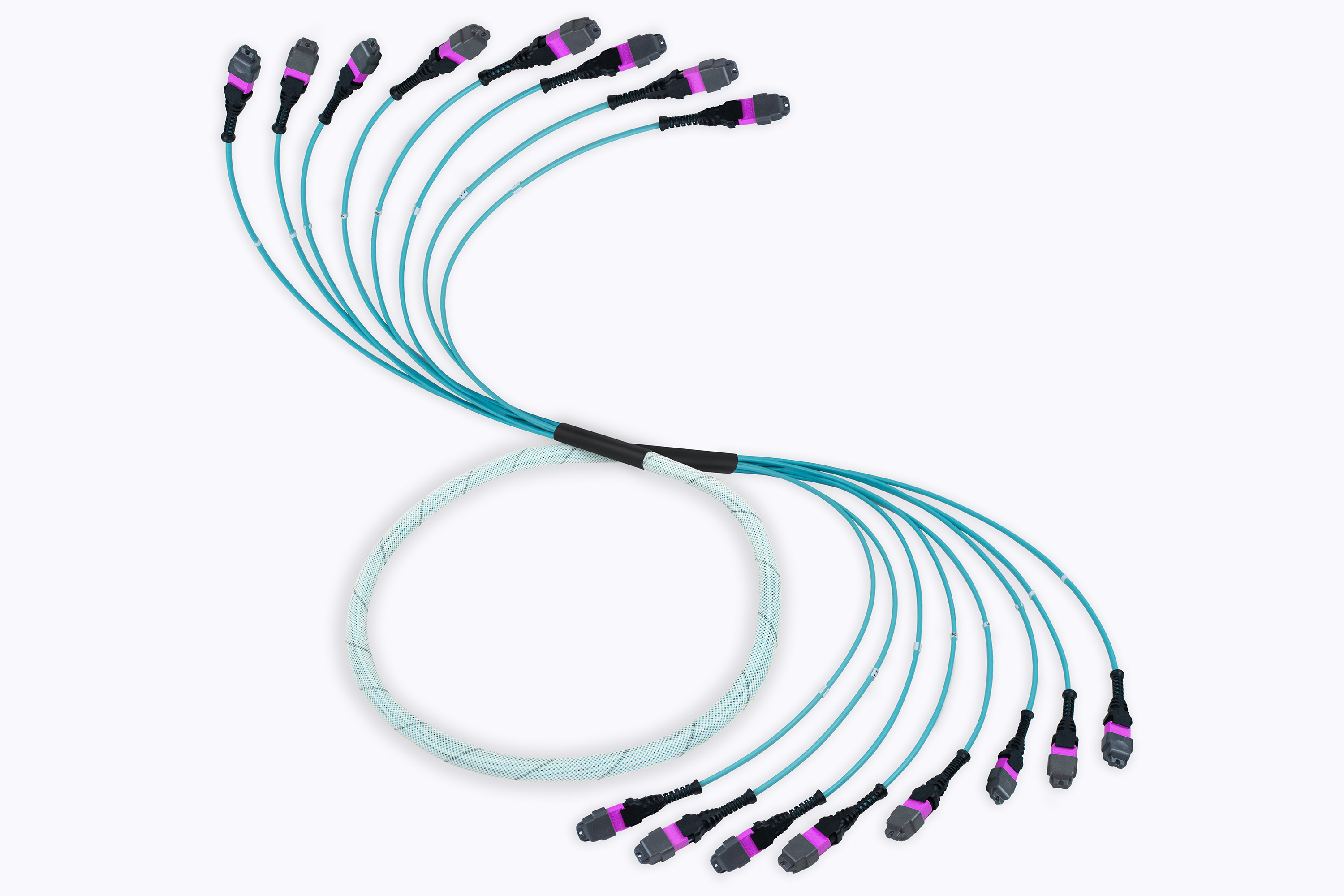 MTP Pro Elite Fiber Optic Trunk Cable, 96 Strand, Multimode OM4 50/125 (8 X 12 Fiber MTP)