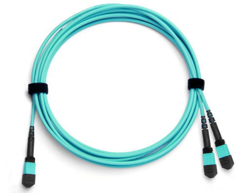 24-Fiber Single MTP/MPO to Dual MTP/MPO Fiber Optic Fanout Cable, Multimode OM3