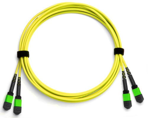 VAVA-024P9IZ001M-N1X - 24-Fiber Dual MTP/MPO Fiber Optic Cable, Singlemode OS2, Plenum