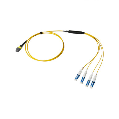 Breakout Cable, MTP Elite/APC to CS, OS2, 8 Fiber