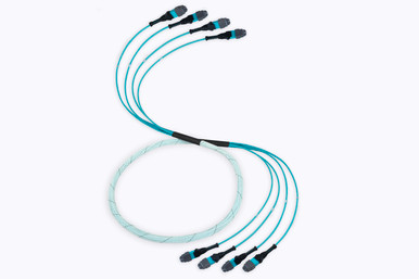 MTP Pro Elite Fiber Optic Trunk Cable, 48 Strand, MM OM3 | Shop