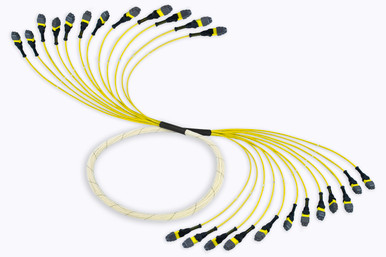 MTP Pro Elite Fiber Optic Trunk Cable, 144 Strand, SM, OS2 | Shop