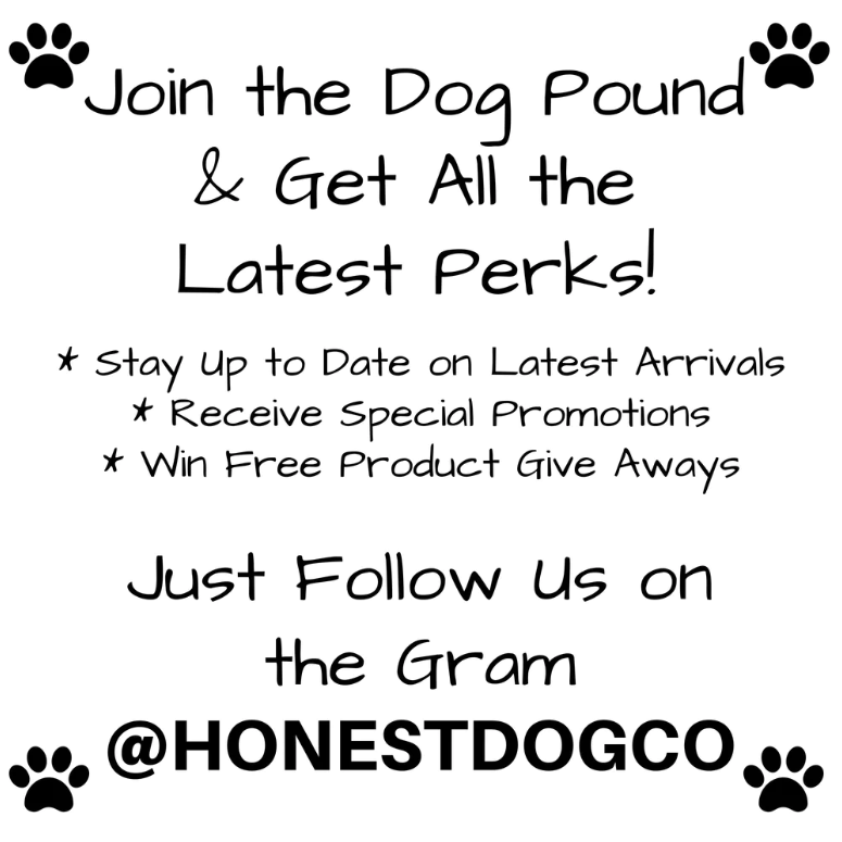 Designer Inspired Dog Dress Chewnel Chanel at The Honest Dog