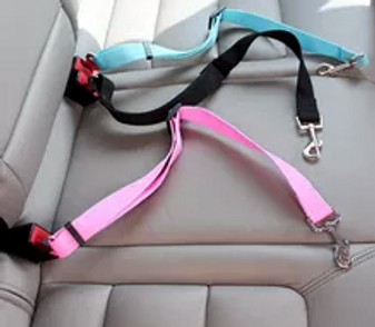 Adjustable Dog Seat Belt Lead