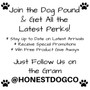 Instagram @honestdogco The Honest Dog