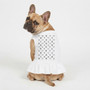 Multi Designer Dog Dress Coco Chanel, Dior, Gucci, Vuitton