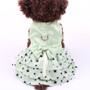 Stars Dog Dress-Dog Dress-TheHonestDog