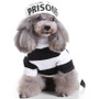 Halloween Dog Prisoner Costume-The Honest Dog-TheHonestDog
