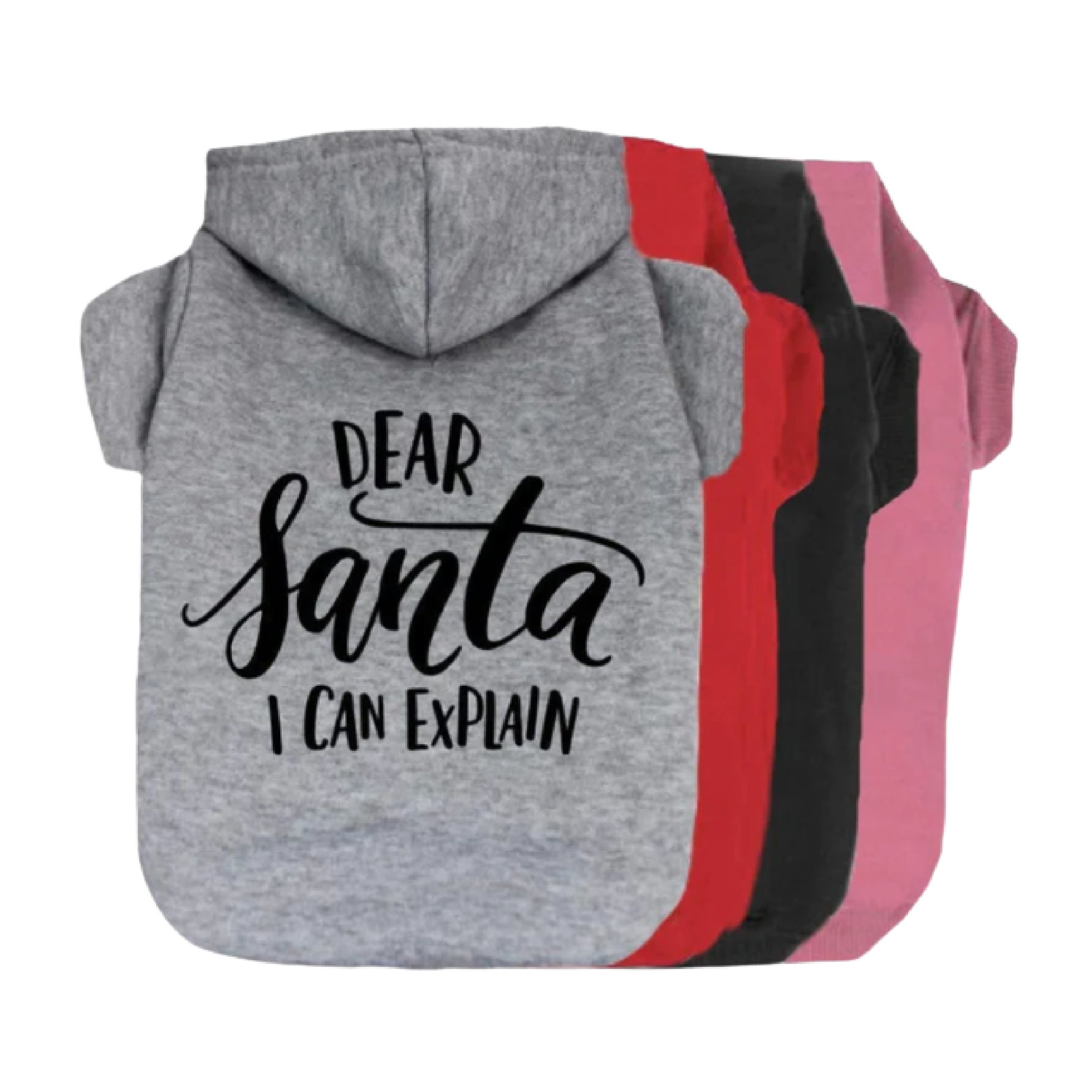 dear santa i can explain