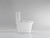 BELLA SERIES ELONGATED TOILET WITH DUAL FLUSH  -- 2064