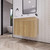 ELSA 30" WALL MOUNTED BATH VANITY WITH REINFORCED ACRYLIC SINK