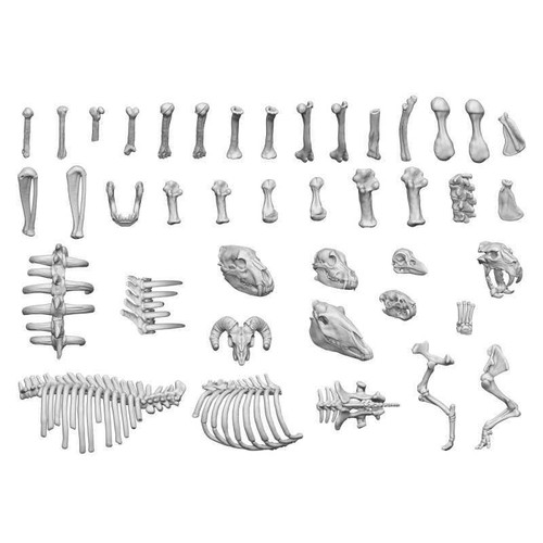 GSW Resin Bits - Animal Bones (x52)