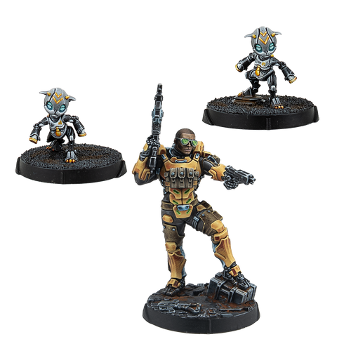 Infinity - Gui Feng Xi Zhuang Combi Rifle