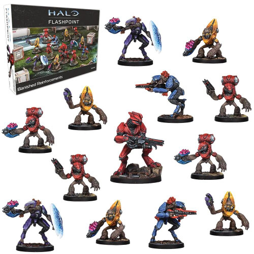 Halo: Flashpoint - Banished Reinforcements