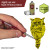 Army Painter - Speedpaint 2.0 - Charming Chartreuse - 18ml