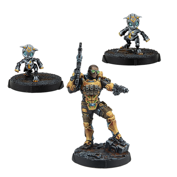 Infinity - Gui Feng Xi Zhuang Combi Rifle