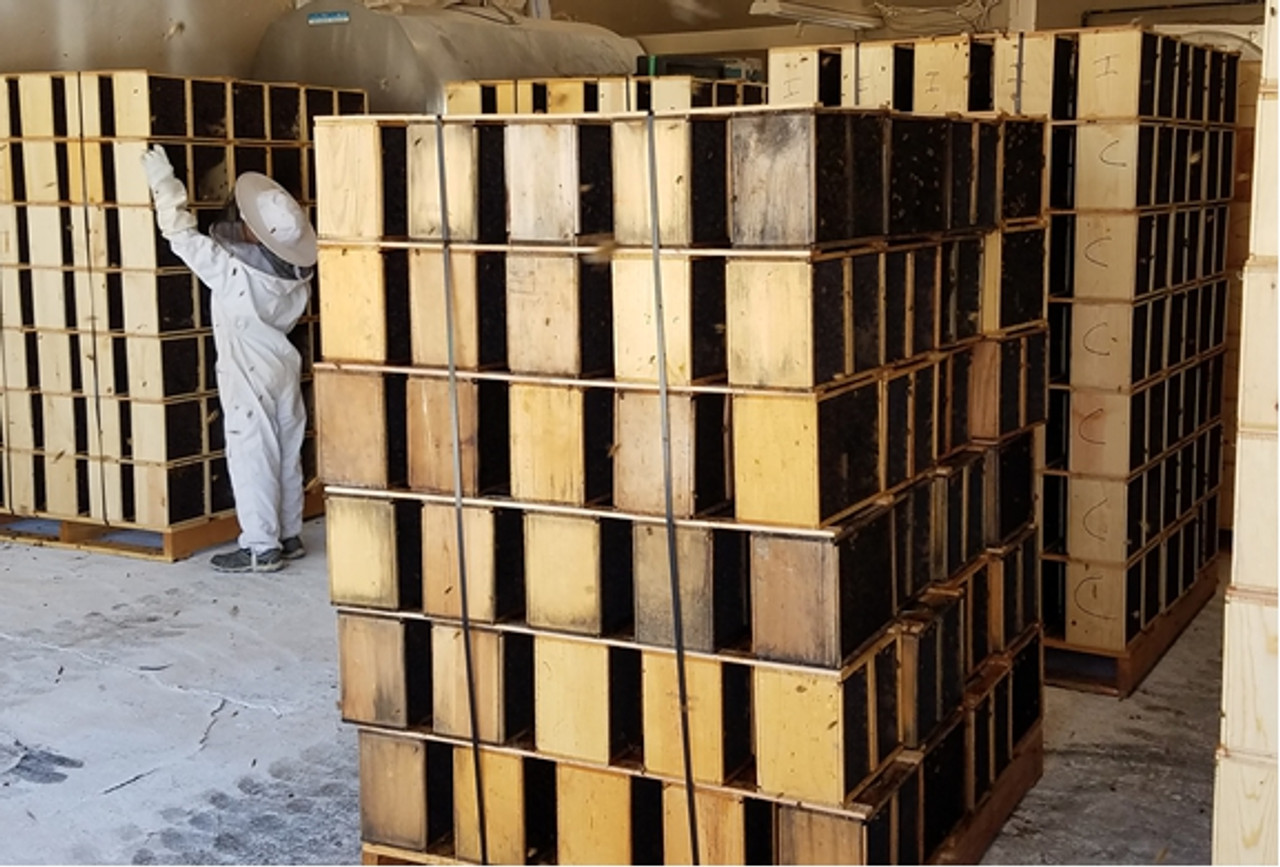 When Can I Buy 2020 Packaged Honey Bees For Sale Around The United States?