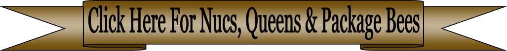 Nucs, Shipped Queens & Package Bees for sale United States Nucs, Shipped Queens & Package Bees company where to buy Nucs, Shipped Queens & Package Bees for sale in and around Iowa and the USA free shipping Lappe's Bee Supply & Honey Farm LLC around East Peru Iowa 502