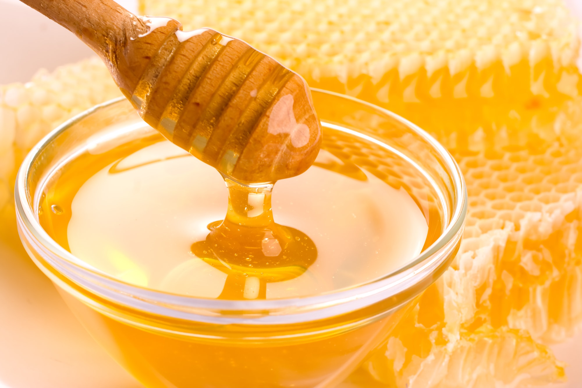 USA Free Shipping Beginning Beekeeping Supplies For Sale United States USA online listings for free shipping company supplier of honey bee beginning beekeeping supplies, Langstroth bee hives, beekeeping supplies for sale anywhere in Texas TX 733 734 735 736 737 738 739 740 741 742 743 744 745 746 747 748 749 750 751 752 753 754 755 756 757 758 759 760 761 762 763 764 765 766 767 768 769 770 771 772 773 774 775 776 777 778 779 780 781 782 783 784 785 786 787 788 789 790 791 792 793 794 795 796 797 798 799 885 | United States USA online listings for free shipping company supplier of honey bee beginning beekeeping supplies, Langstroth bee hives, beekeeping supplies for sale anywhere in listings around Pennsylvania PA 150 151 152 153 154 155 156 157 158 159 160 161 162 163 164 165 166 167 168 169 170 171 172 173 174 175 176 177 178 179 180 181 182 183 184 185 186 187 188 189 190 191 192 193 194 195 196