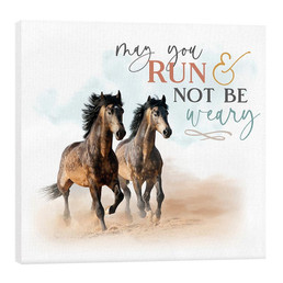 Canvas - May You Run