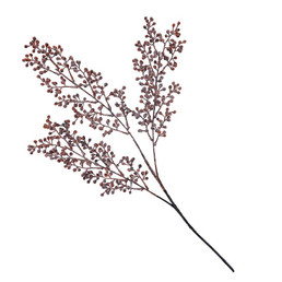 Frosted Leaves Branch