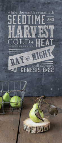 Greeting Card - Encouragement - Harvest