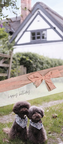 Greeting Card - Birthday - Puppies