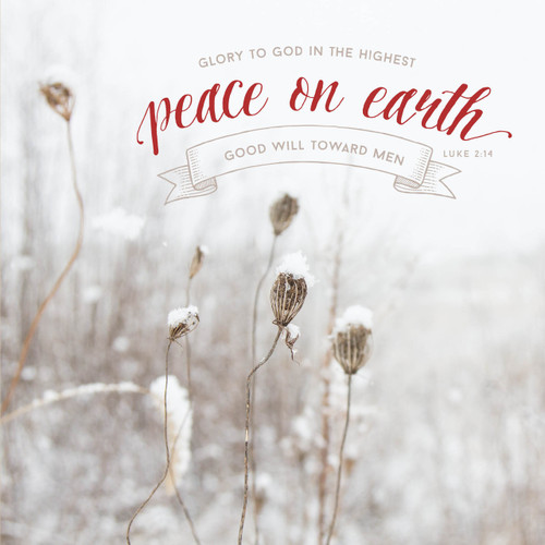 Greeting Card - Christmas - Peace On Earth