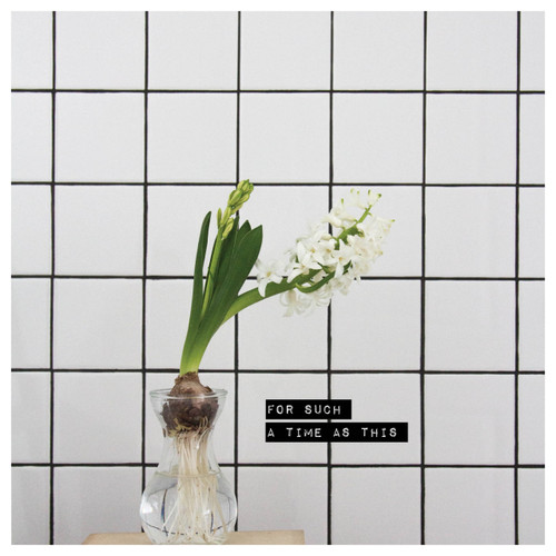 Greeting Card - Encouragement - For Such A Time