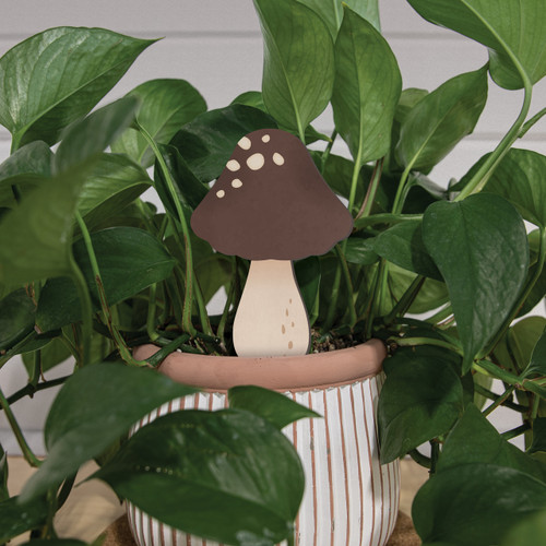 Mushroom  (YSHG0031)