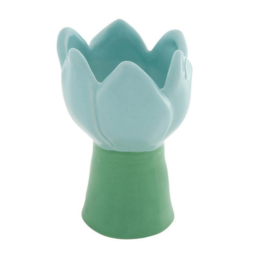 Blue Tulip Accent