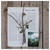 Greeting Card - Christmas -  Branch