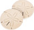 Car Coasters - Sand Dollar