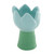 Blue Tulip Accent