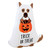Trick Or Treat Ghost Dog