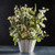 White Crimped Ceramic Bowls - Set of 3