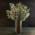 Evergreen Branch