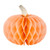 Honeycomb Decoration - Blush Pumpkin - Set of 2