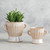 White Ceramic Pot - Small