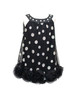 Blk tulle w/ silver dots