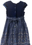 Navy Velvet Bodice with Silver sparkle tulle skirt